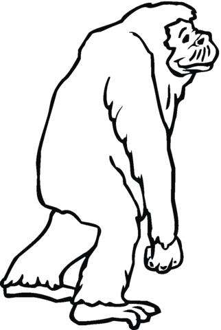 Chimpanzee Is Walking Away Coloring Page